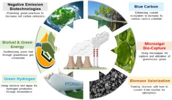 Emerging bio-capture strategies for greenhouse gas reduction ...