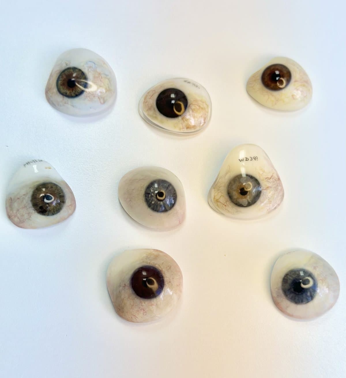 Products - Brettocular Prosthetics