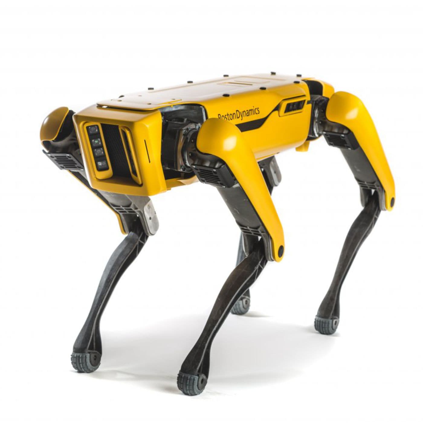 Robot Dog Boston Dynamics Boston Dynamics SPOT Enterprise With
