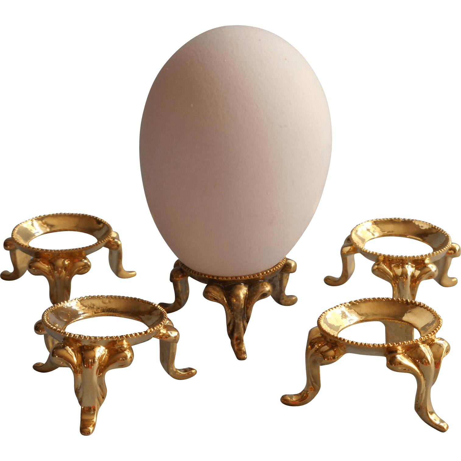 Decorative Egg Holder at Catherine Scott blog
