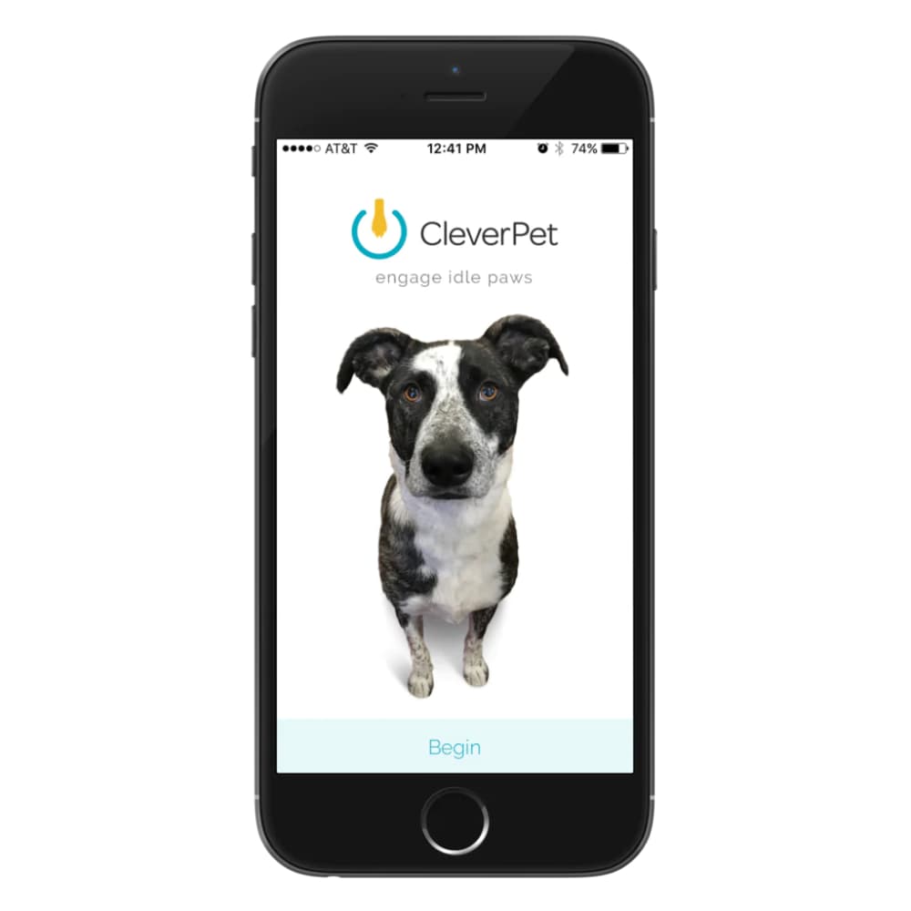 Умная игрушка для собак. CleverPet Hub купить в Москве с Кикстартера в ...