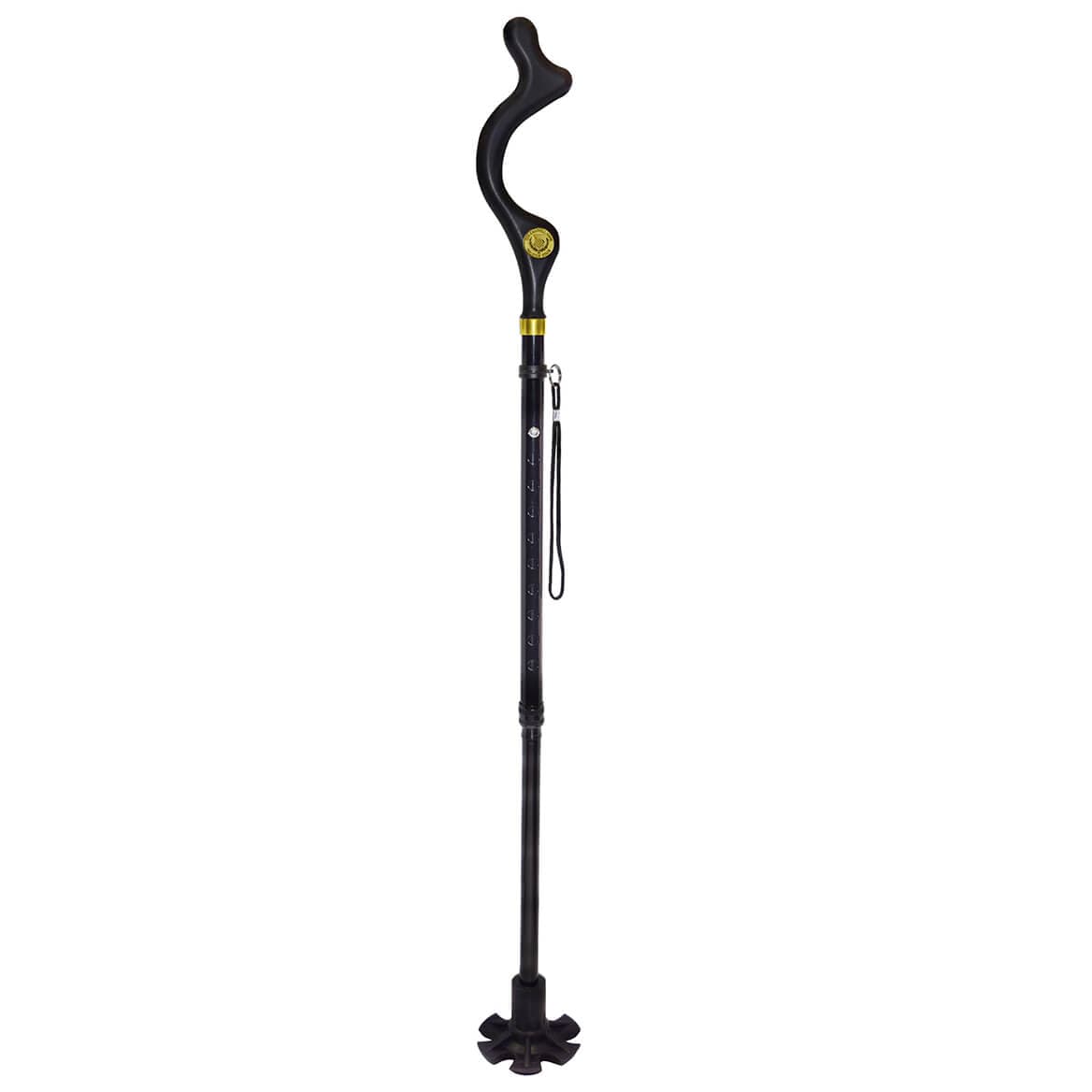 As Seen on TV Campbell Posture Cane