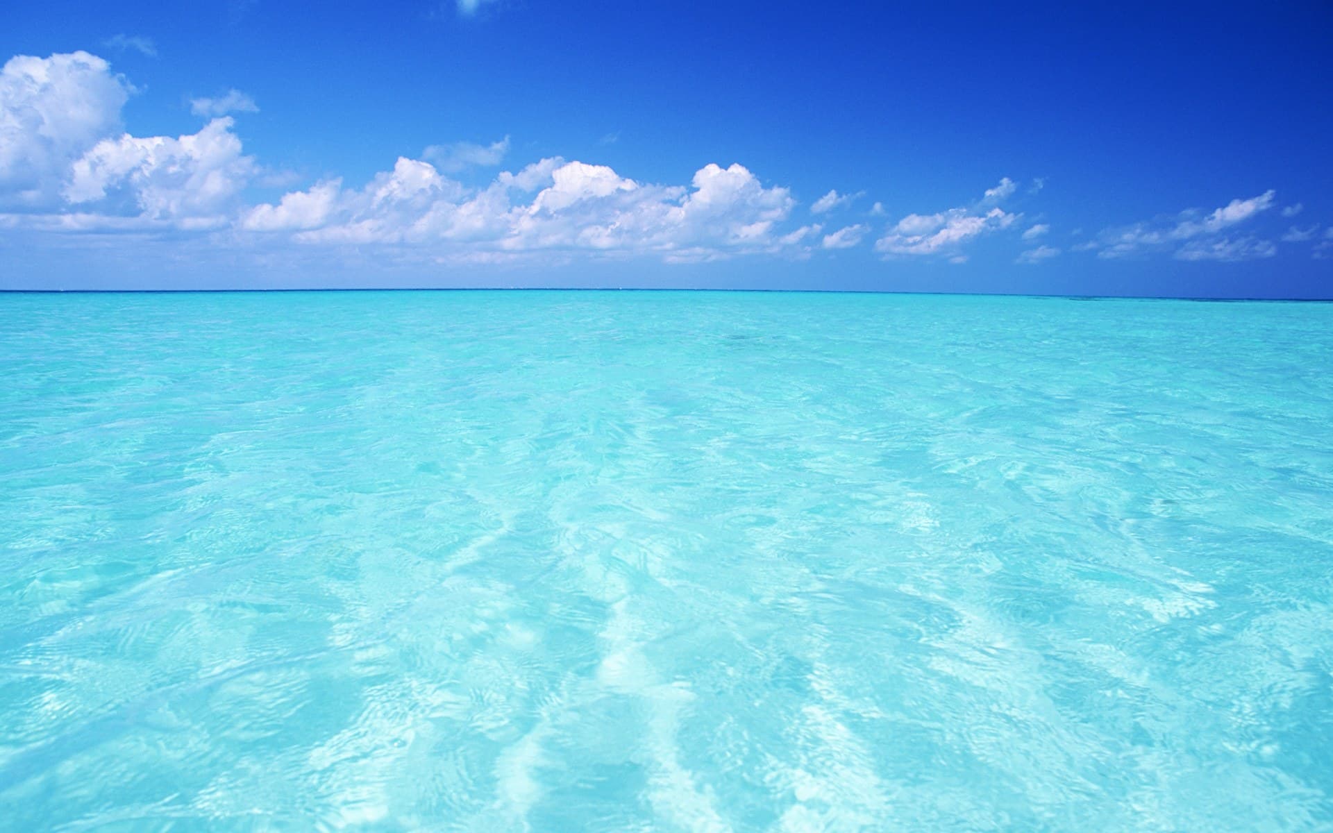 Sea wallpaper | 1920x1200 | #55429