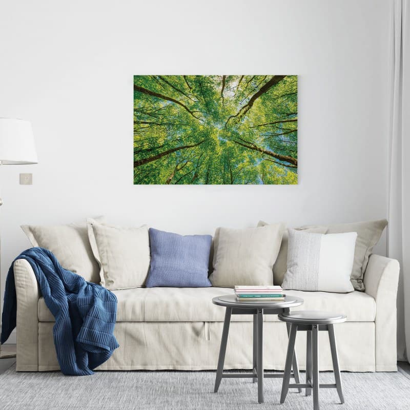 Sky Over Emerald Forest Canopy Canvas Wall Art – Home Gallery