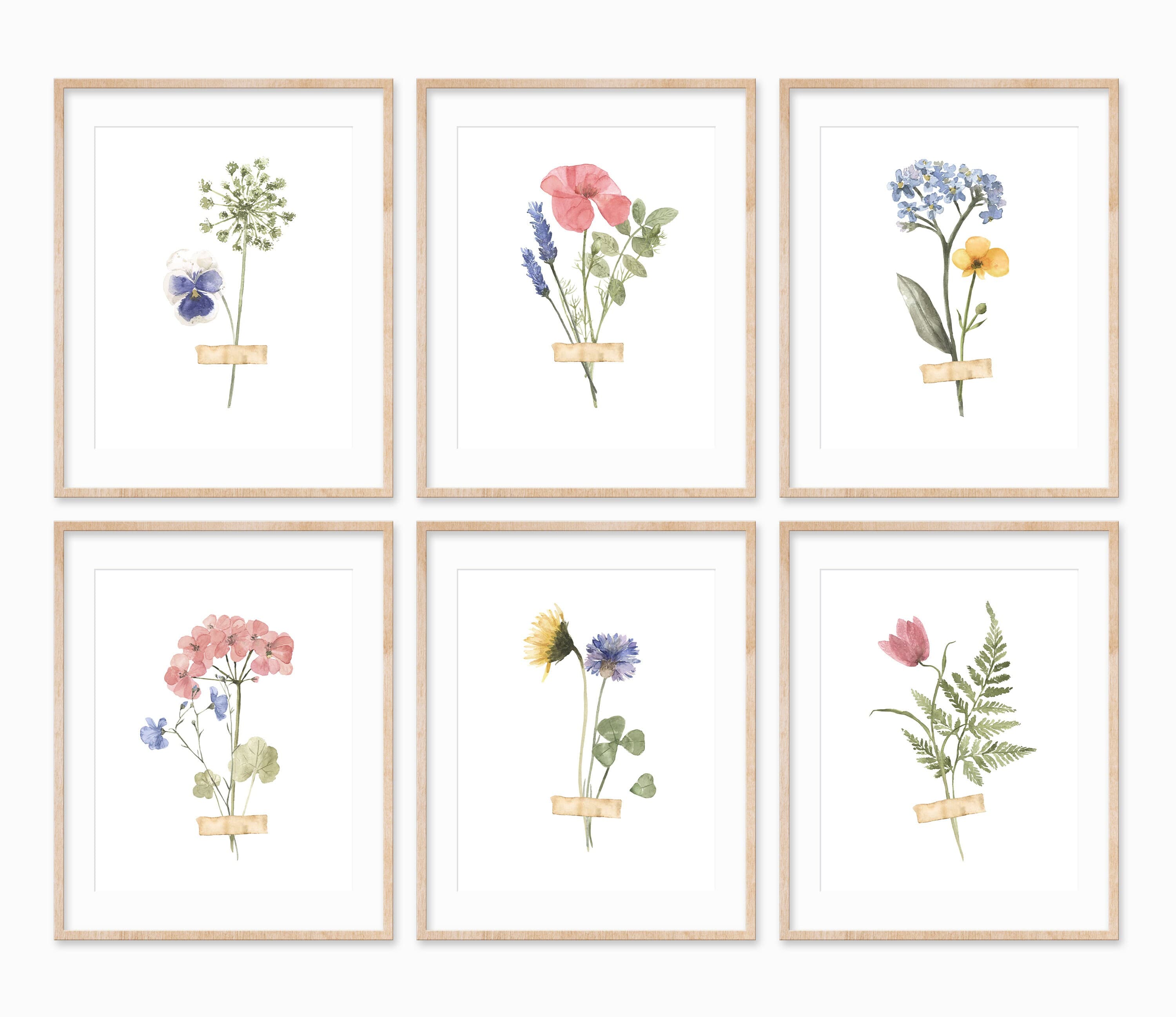 Pressed Flowers Botanical Prints Pressed Floral Prints | Etsy