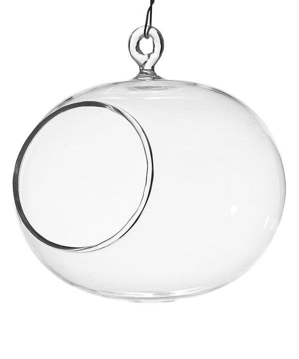Orb Hanging Glass Vase | Hanging glass vase, Hanging vases, Glass globe