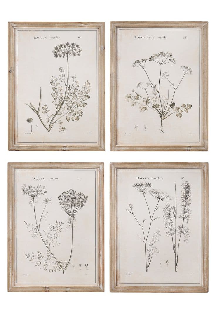 3R Studios Vintage Reproduction Botanical Print Wood Framed Wall Art ...