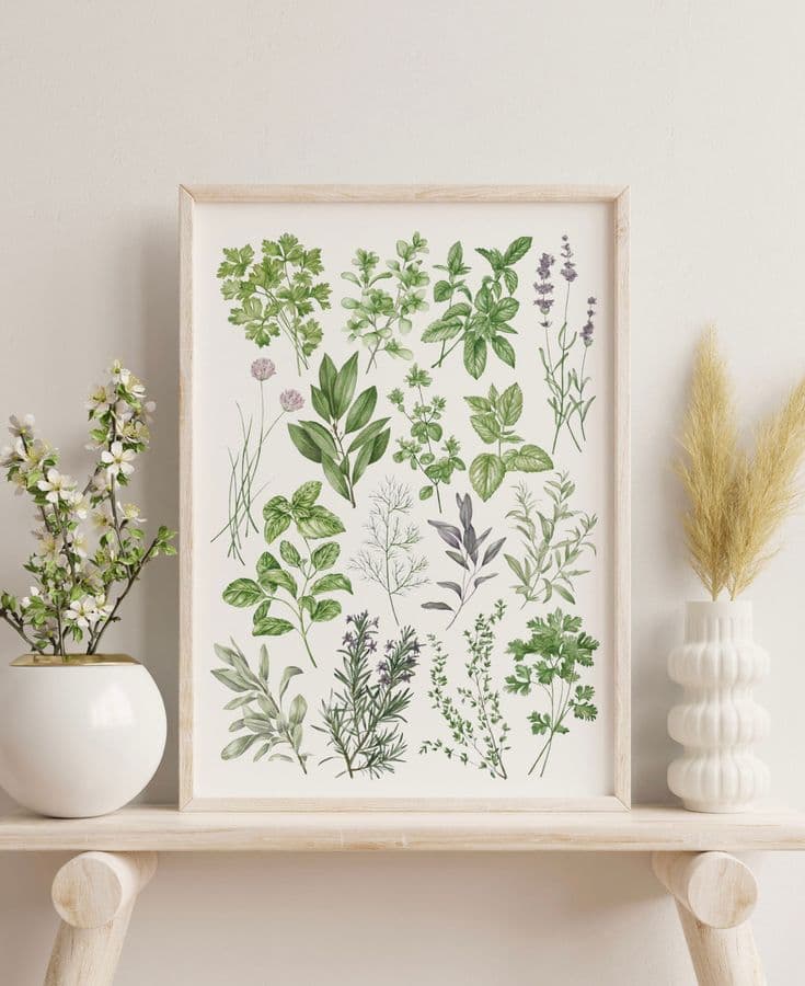 Botanical Herbs Watercolour Print, Culinary Herb Wall Art, Herbalist ...