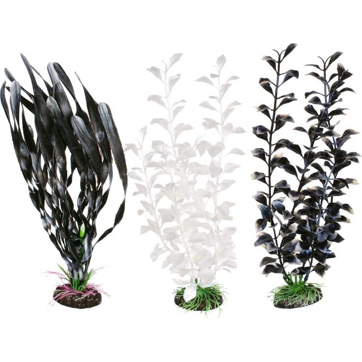 Imagitarium Pearl Aquarium Plant, X-Large | Petco | Planted aquarium ...