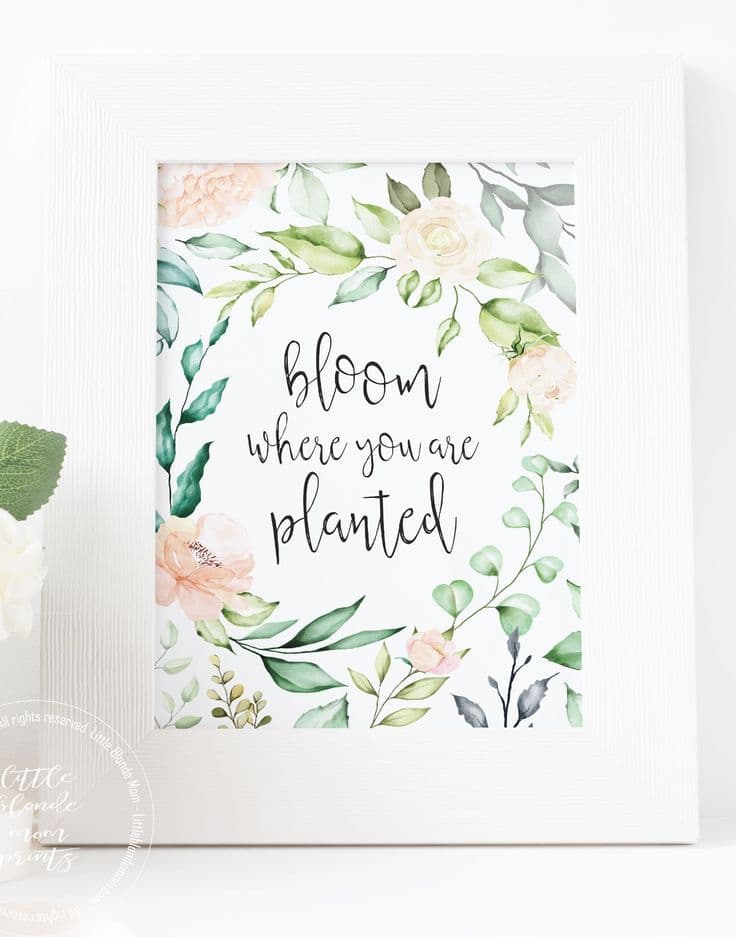 Spring Decor Print Bloom Where Planted Spring Printable - Etsy | Spring ...