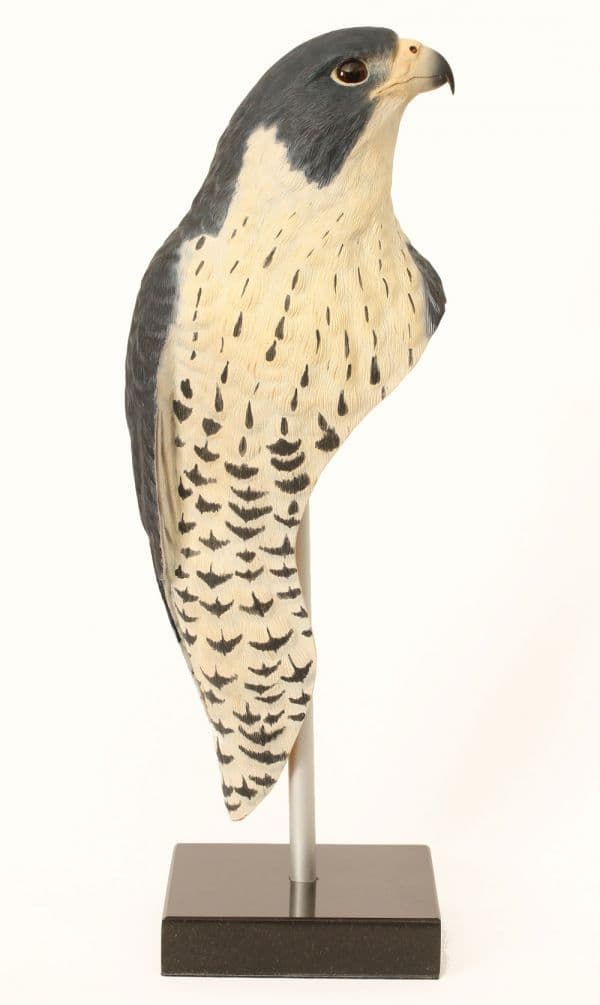 Peregrine Falcon Bust by Bill Prickett | Bird art, Bird sculpture, Bird ...