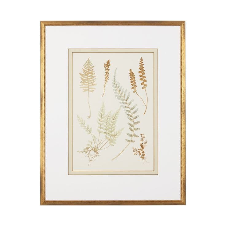 Framed Botanical Prints for Home Decor