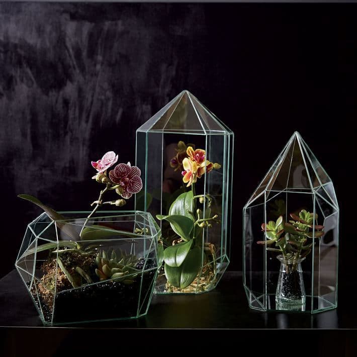 Faceted Terrariums | West elm, Decor, Succulent terrarium