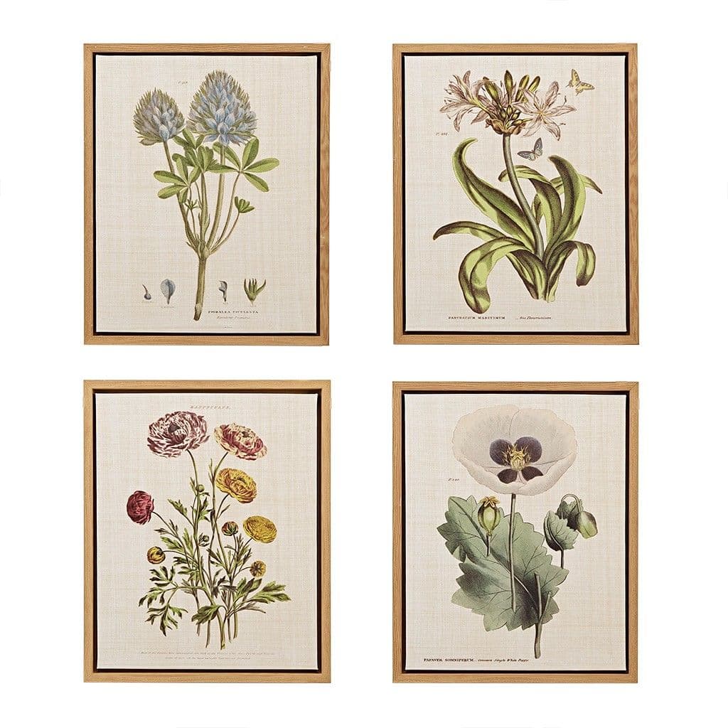 Botanical Framed Art set of 4 | Botanical wall art, Wall art decor ...