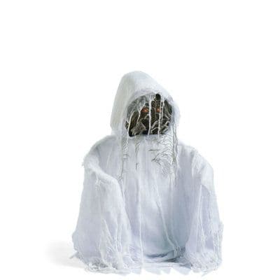 Pop Up Animated Ghost | Grandin Road | Up animation, Front yard ...