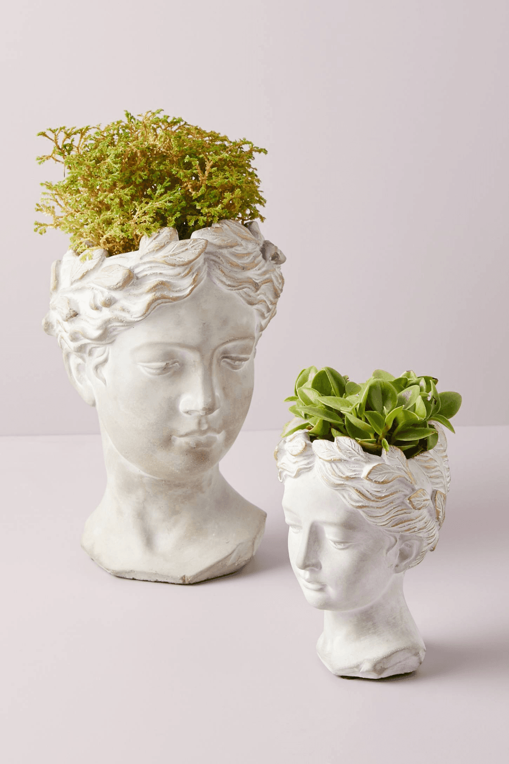 Grecian Bust Pot | Grecian, Flower pots, Planters