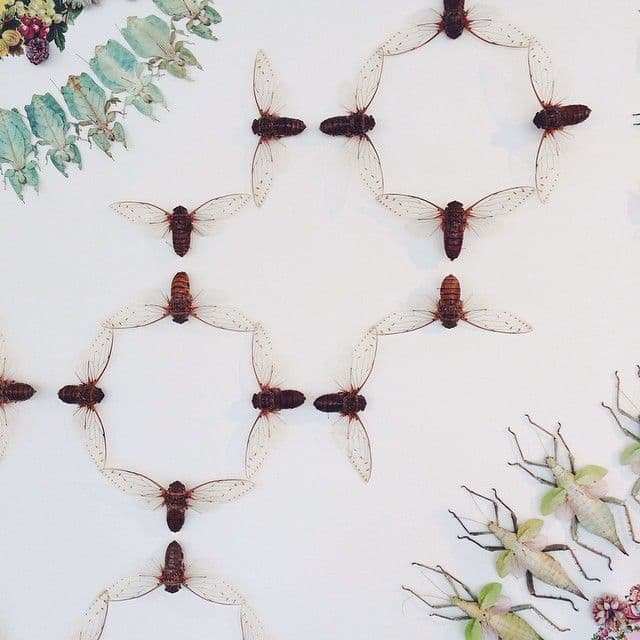 Wiksten on Instagram: “An exhibit of real bugs by Jennifer Angus at the ...