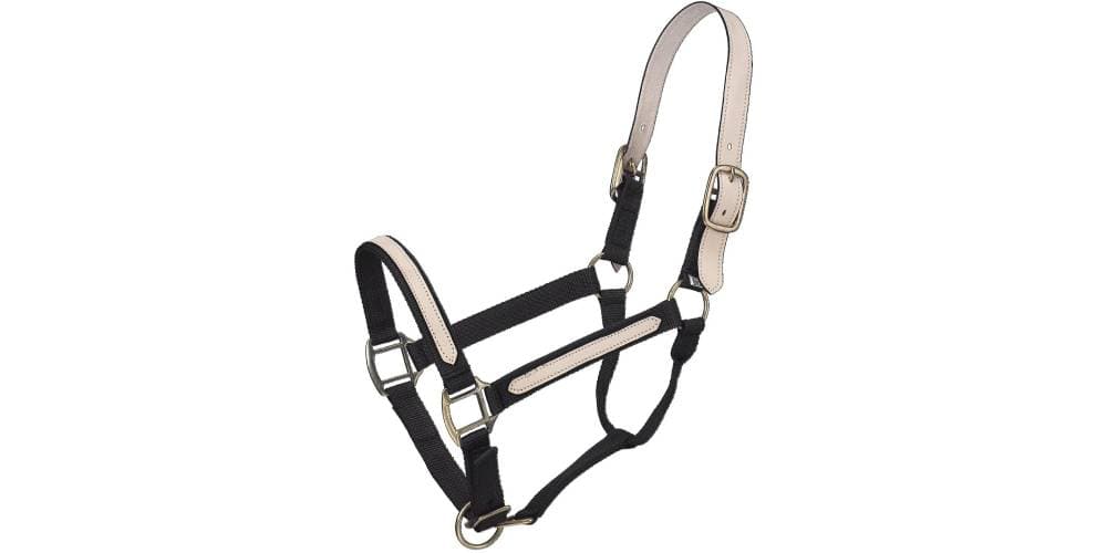 3 Best Turnout & Breakaway Halters For Horses At Grass – Insider Horse ...