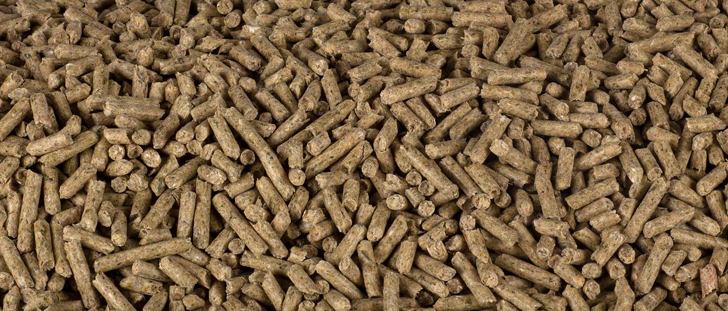 Wellness Safe & Lite® - Pellet - Seminole Feed