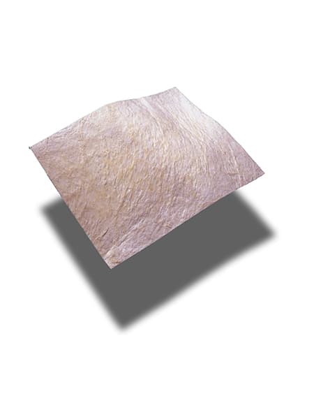 Vetrix® BioSIS ECM® Bioscaffold 7cm x 10cm (Multi-Layer) – V1000 ...