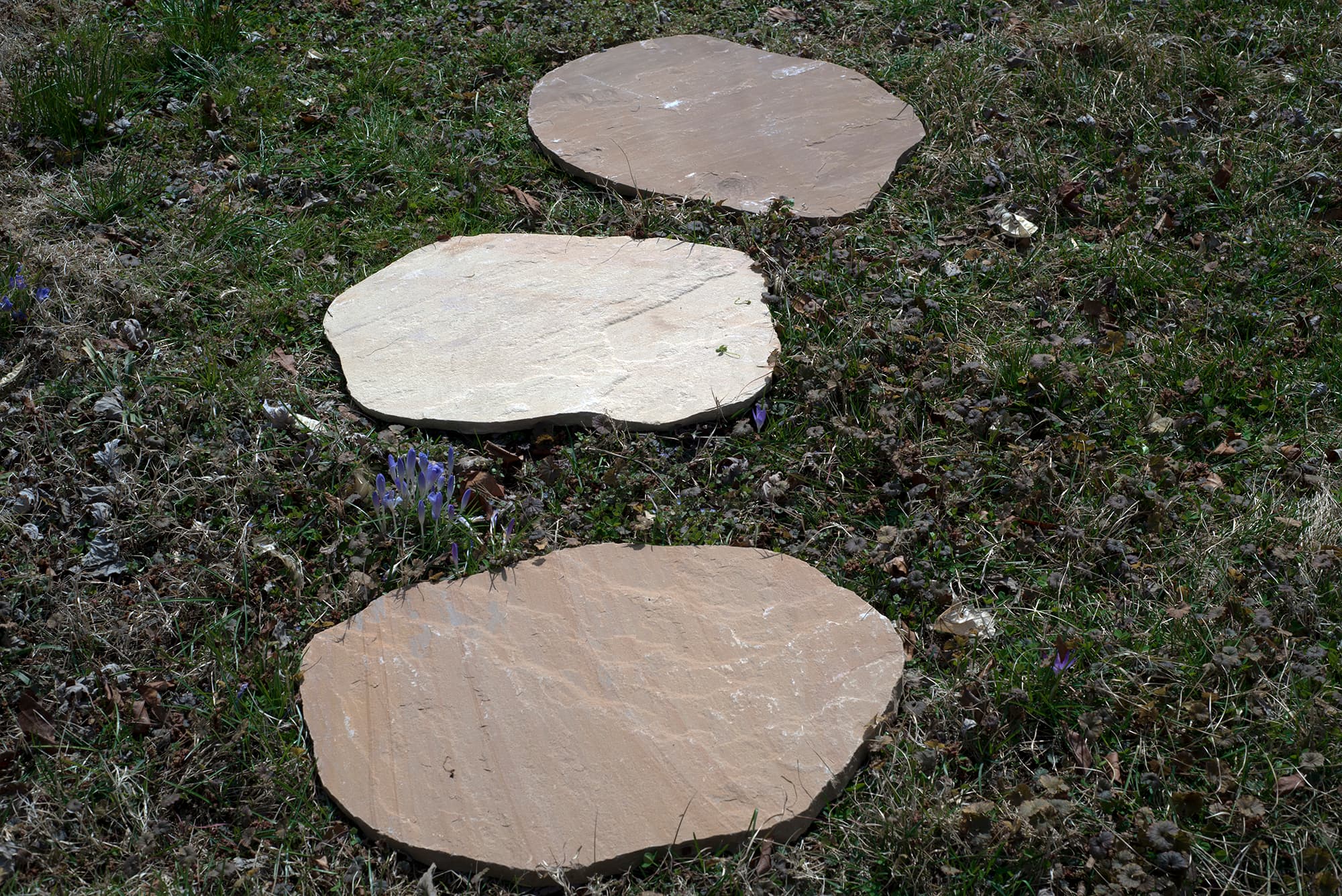 Natural Stepping Stones - Sislers Stone