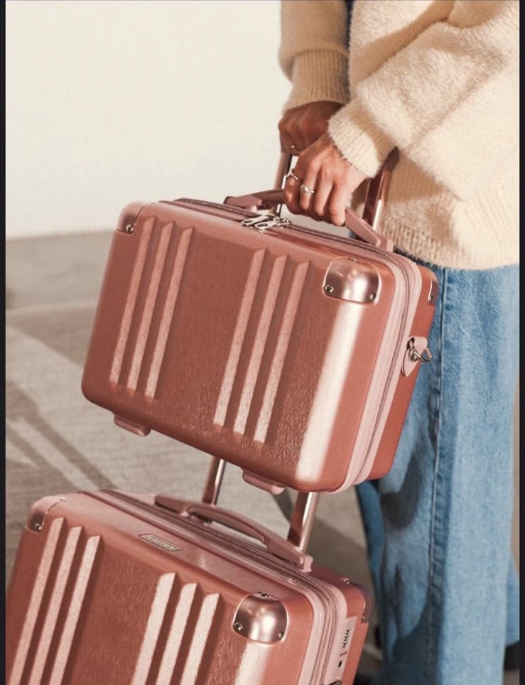 Calpak Vanity Case