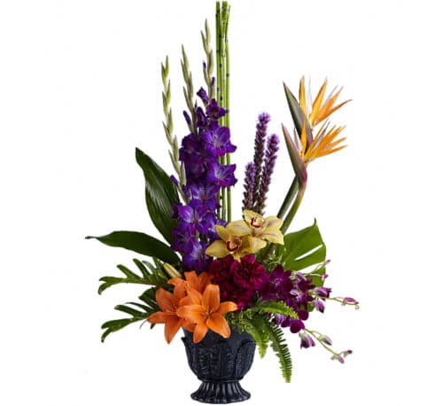 Canada Flowers | Teleflora's Paradise Blooms #TR15TA