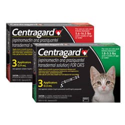 Centragard for Large Cats (12 Month) | Free Shipping | EP Rx