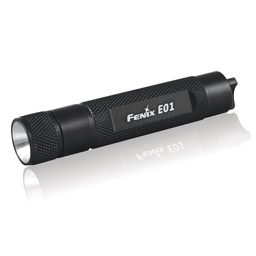 Fenix E01 LED Flashlight, 13 Lumens Mini Keychain Compact Torch, Edc ...
