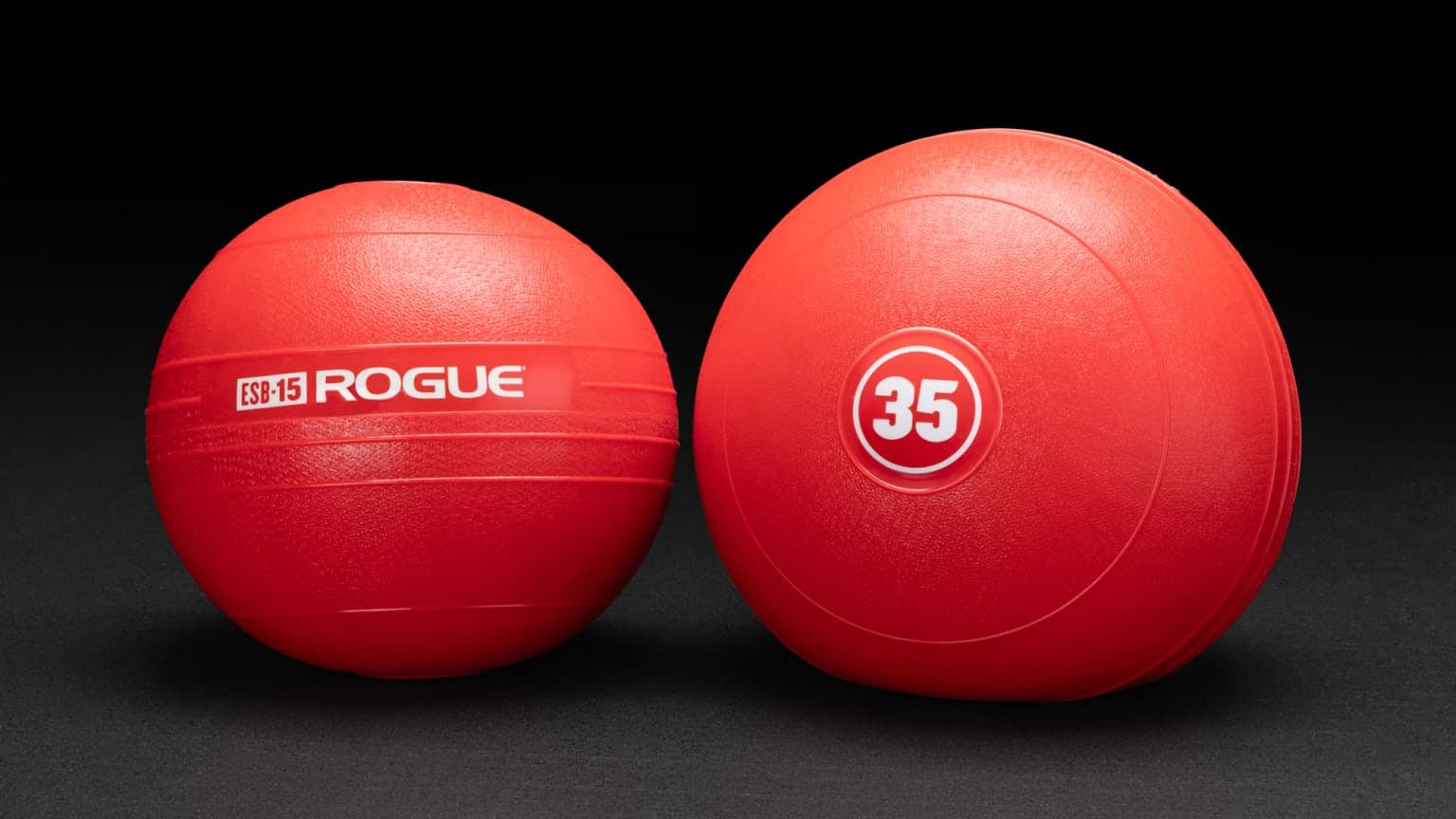 Rogue Echo Slam Balls | Rogue Fitness