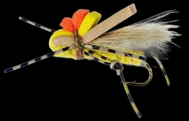 Most Innovative & Best Carp Flies in the World | Catch Fly Fishing