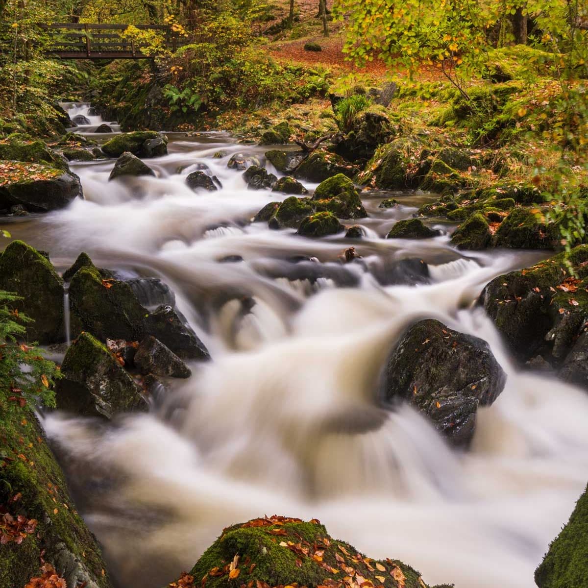 River Landscape Photography