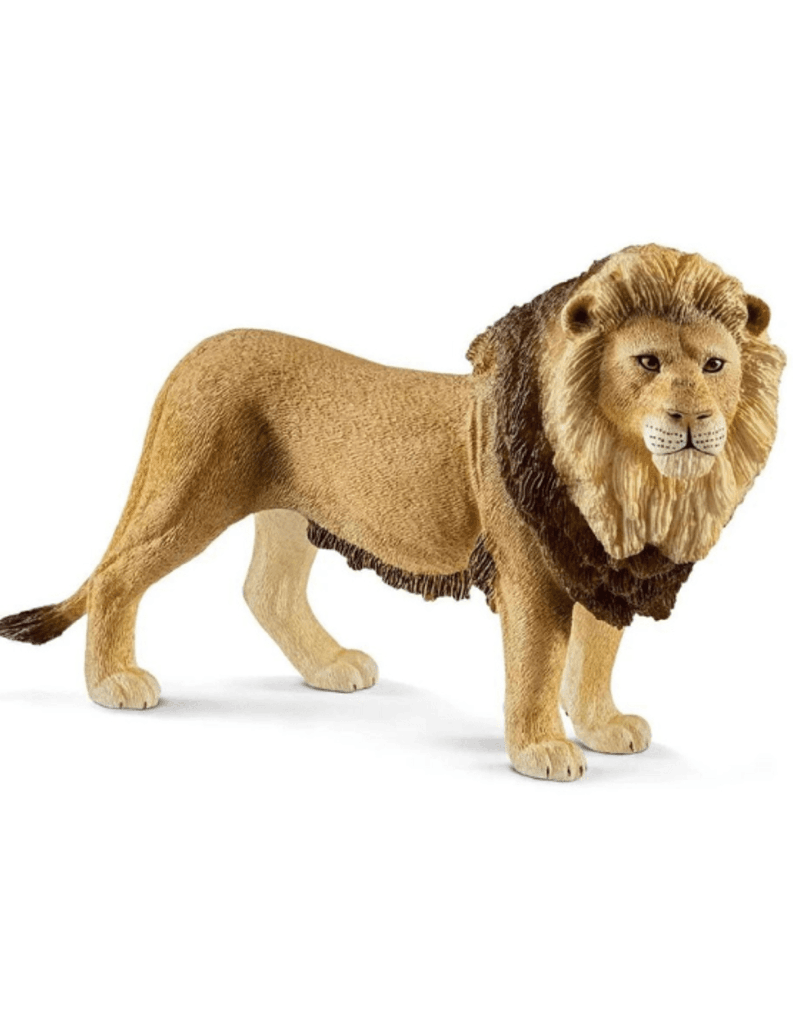 Schleich - Wild Life - 14812 - Lion - ToymastersMB.ca - Westmans Local ...