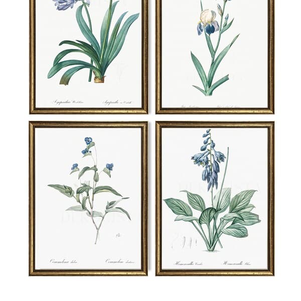 Framed Botanical Prints - Etsy