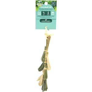 OXBOW Enriched Life Forage Pot Small Animal Chew Toy - Chewy.com