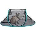 Amazon.com : Nala and Company - The Cat House Outdoor Pet Enclosure for ...