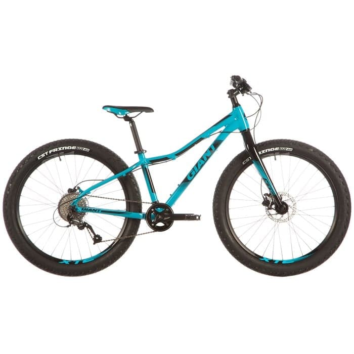 Giant XTC Jr 26+ Complete Mountain Bike - Kids' 2018 | evo