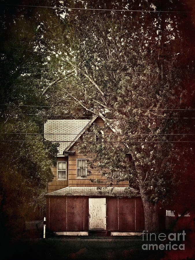 Red Farmhouse Photograph by Colleen Kammerer - Fine Art America