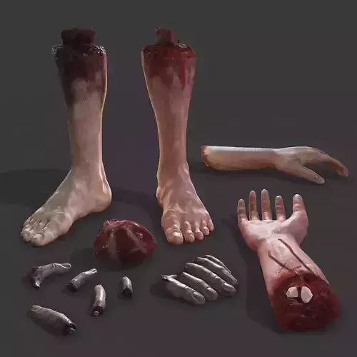 Severed Body Parts Pack VR / AR / low-poly | CGTrader