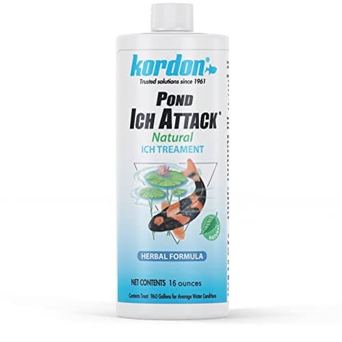 Kordon Ich Attack - 4 fl oz