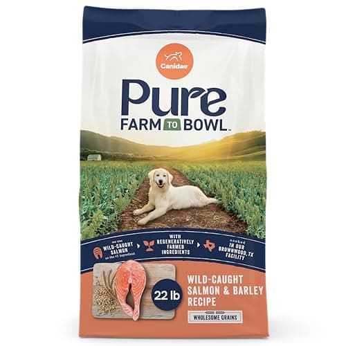 Canidae Pure Goodness Real Salmon and Barley Recipe Adult Dry Dog Food 4LBS