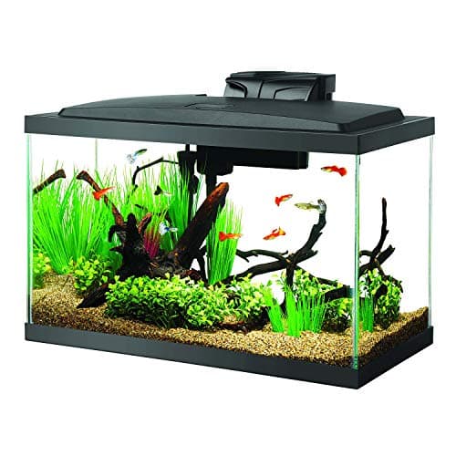 Aqueon LED 10 Gallon Aquarium Kit