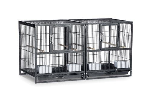 Prevue Hendryx SPF063 Divided Flight Cage, Black