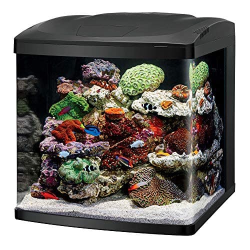 Coralife LED BioCube 32 Gallon Aquarium