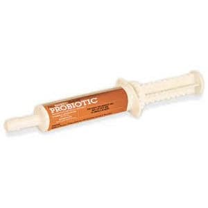 EQ Probiotic Paste – Max Strength (Full Bucket Equine) - Equine ...