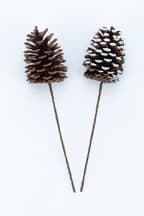 CANVAS Single Pinecone Pick, Assorted | Canadian Tire