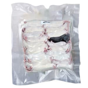 Rodent King | USA - Premium Frozen Feeder Mice and Rats