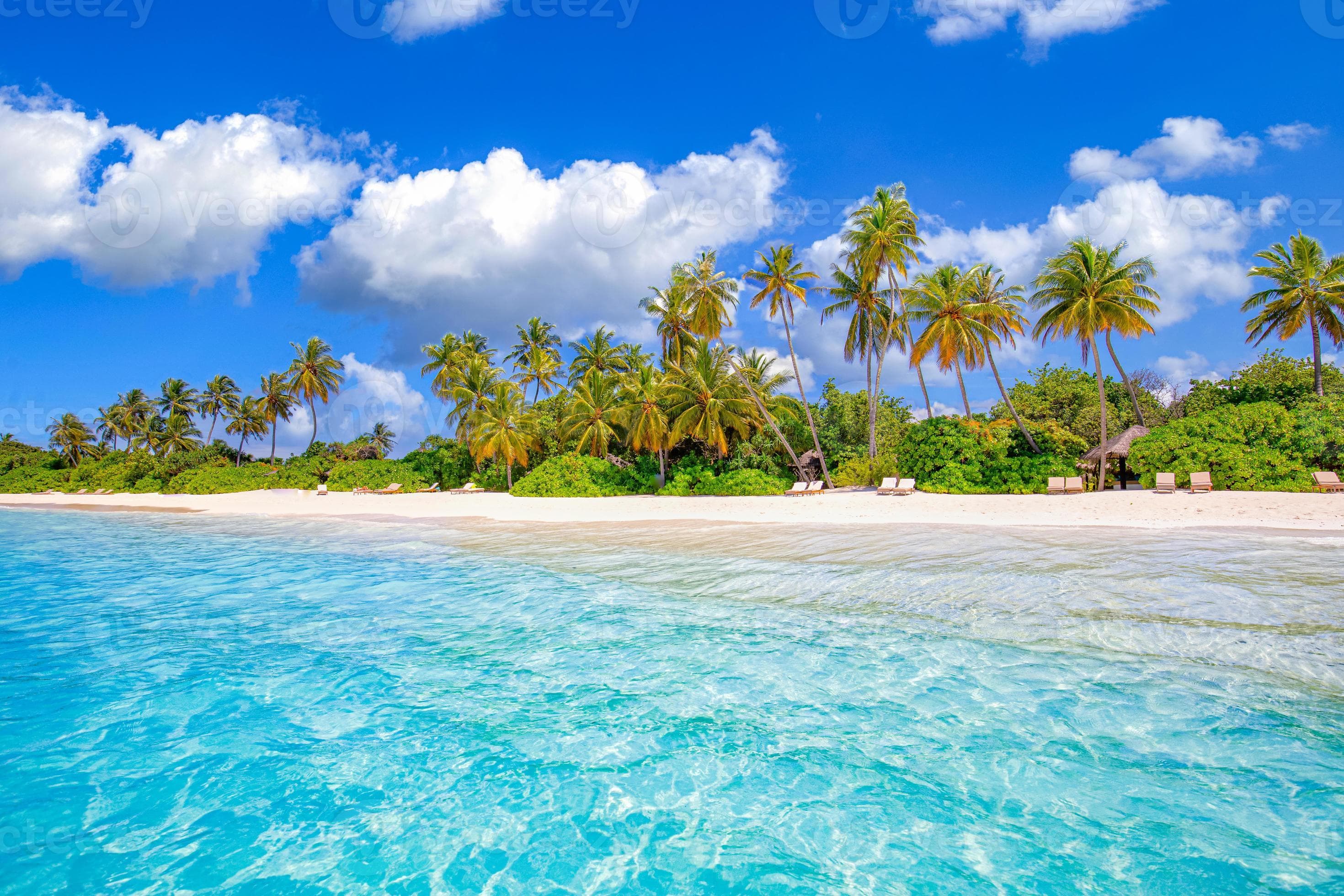 Beach nature concept. Palm beach in tropical idyllic paradise island ...