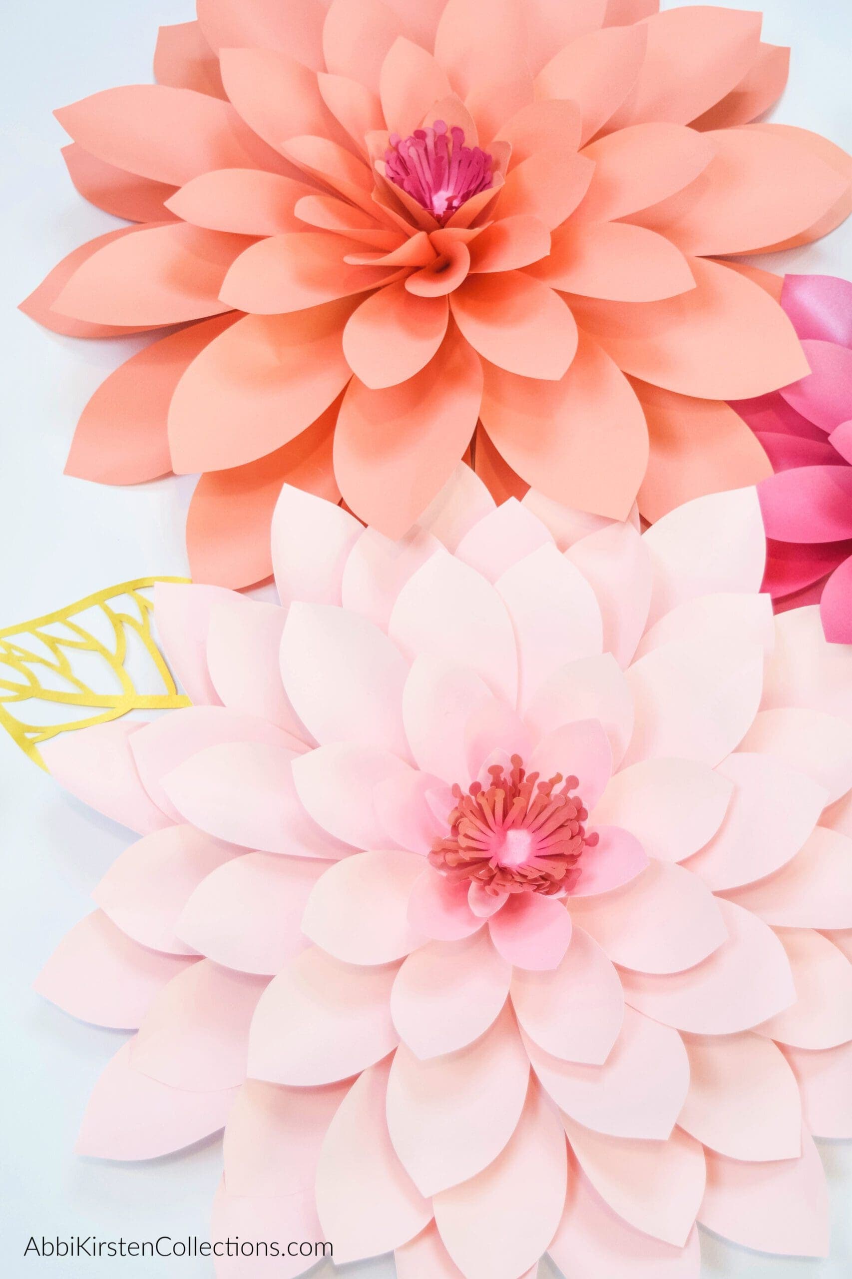 Free Paper Dahlia Template - How to Make Dahlia Paper Flowers