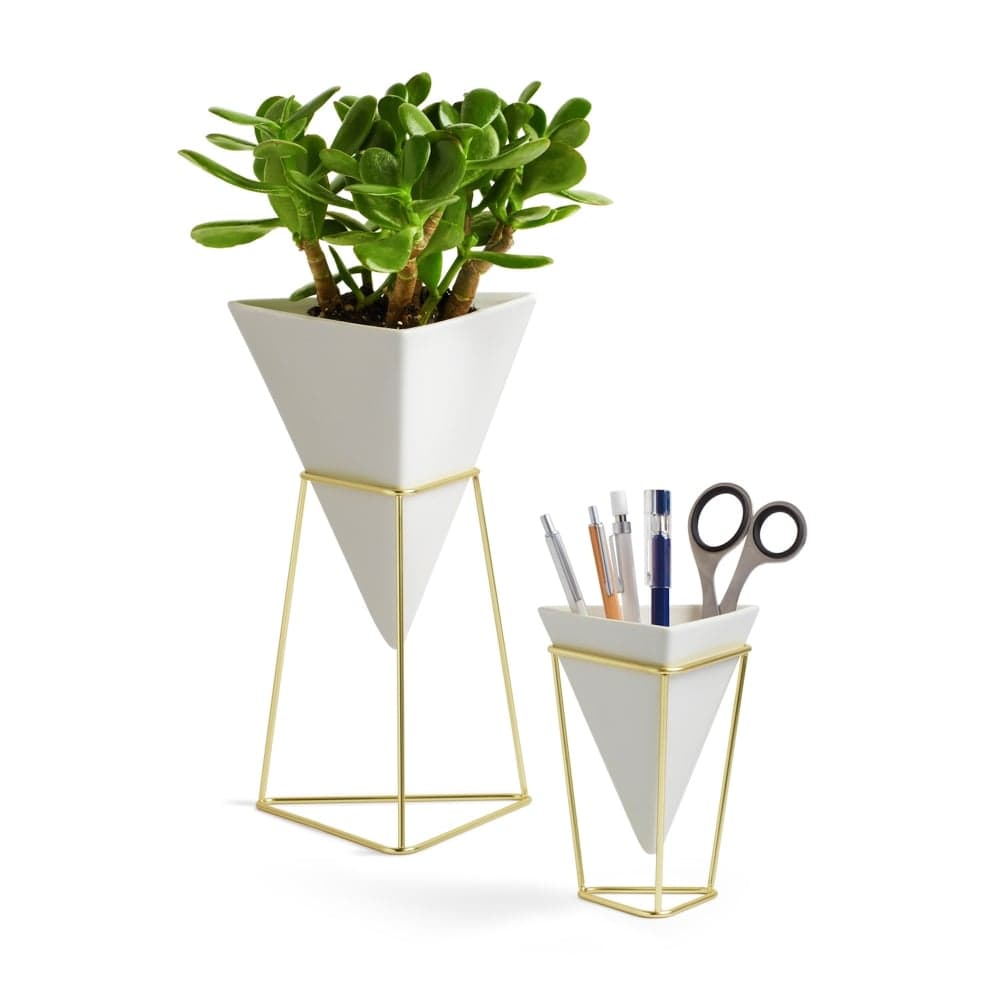 Buy Umbra Trigg Desktop Planter Set | White/Brass | Black by Design